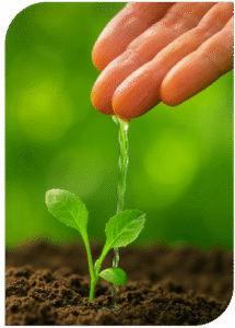 wit web proyectos experiencia