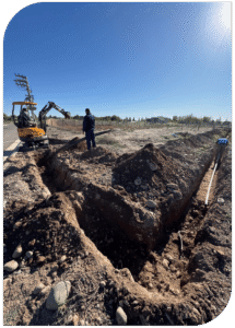 wit web proyectos experiencia copia