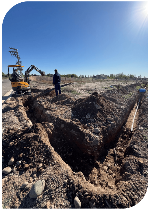 wit web proyectos experiencia copia