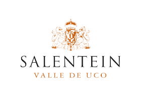 Inicio wit saleintein