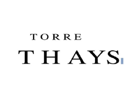 Inicio wit torre thays